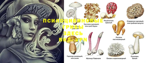 героин Алзамай