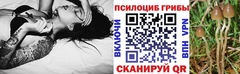 Галлюциногенные грибы ЛСД  OMG ссылка  Балашов  магазин  наркотиков 